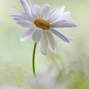 Meet your Posher, Maggie,